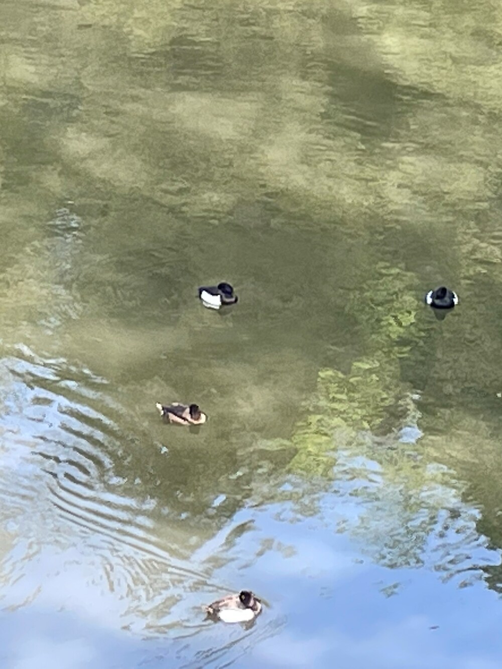 ブルー系のデニムジャケット、ブラック系のスラックス、ブラック系のブーツを着用したメンズの春コーディネートの2枚目の写真