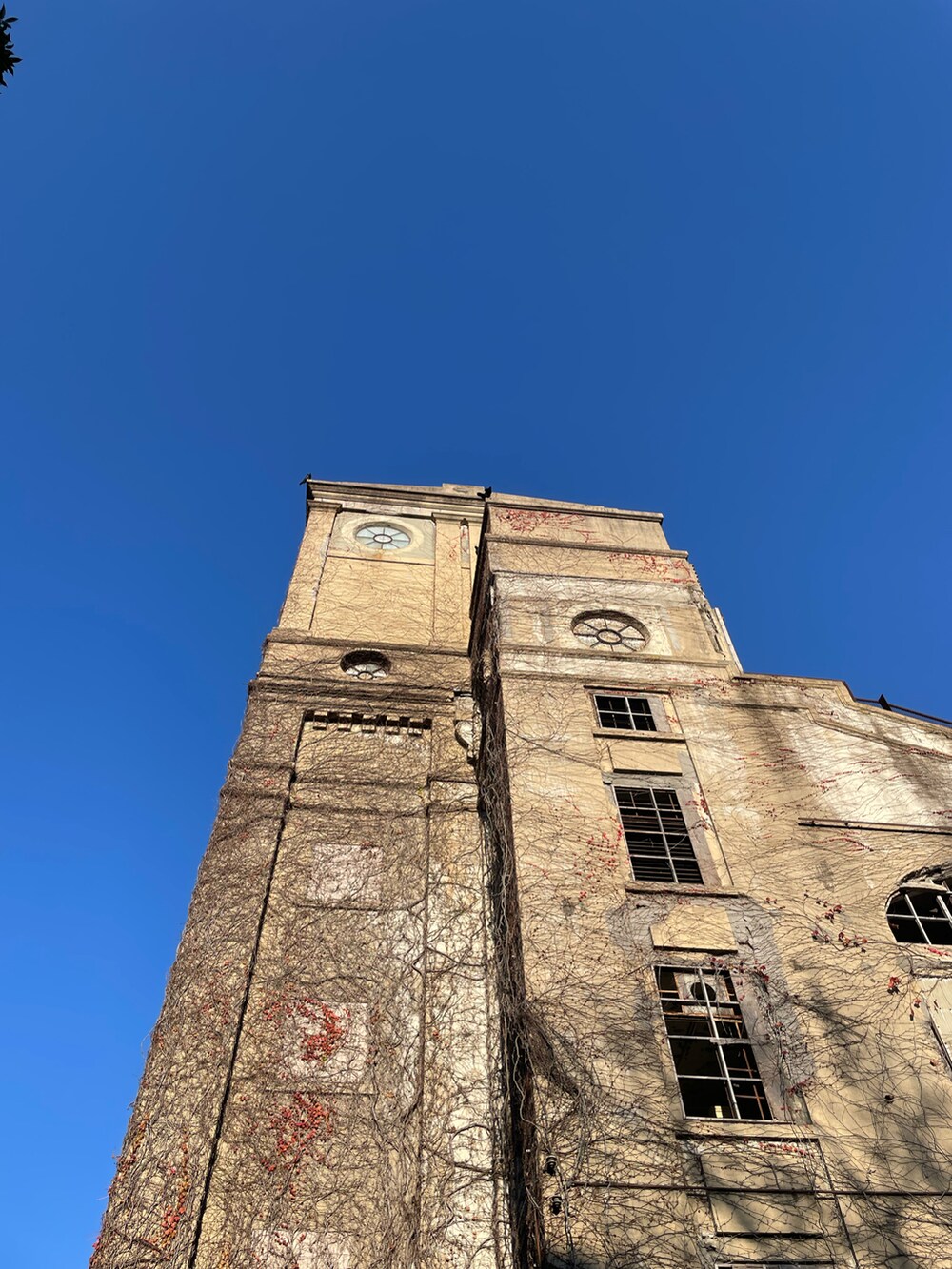 ブラック系のブルゾン、ベージュ系のショルダーバッグ、グリーン系のカーゴパンツを着用したメンズの冬コーディネートの4枚目の写真