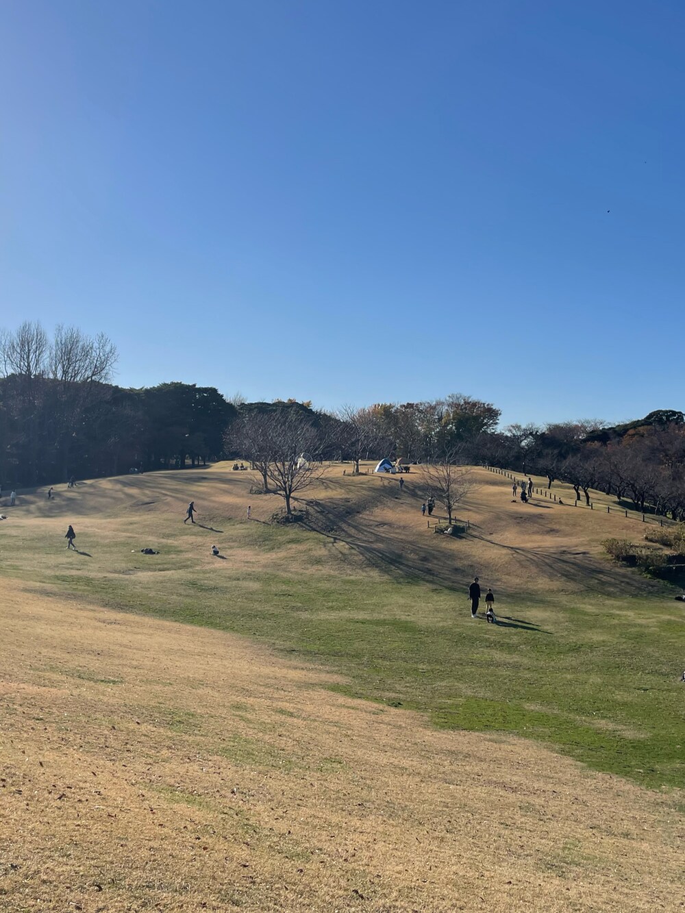 ブラック系のブルゾン、ベージュ系のショルダーバッグ、グリーン系のカーゴパンツを着用したメンズの冬コーディネートの2枚目の写真