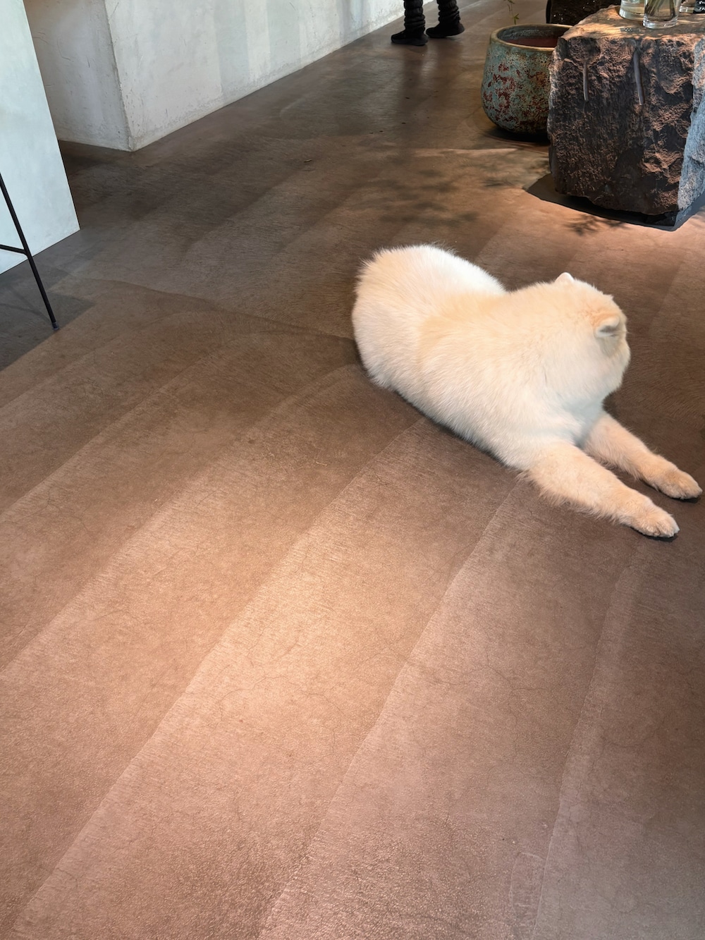 グレー系のスウェットパンツ、ブラック系のサンダル、イエロー系のバックパック/リュックを着用したレディースの夏コーディネートの2枚目の写真