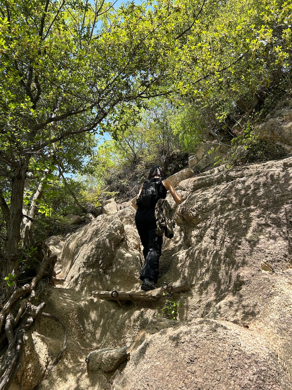 ブラック系のバックパック/リュック、ブラック系のスニーカーを着用したレディースの春コーディネートの4枚目の写真