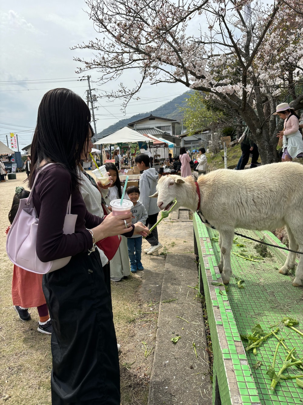 ブラウン系のTシャツ/カットソー、ブラック系のスカート、ピンク系のショルダーバッグを着用したレディースの春コーディネートの2枚目の写真