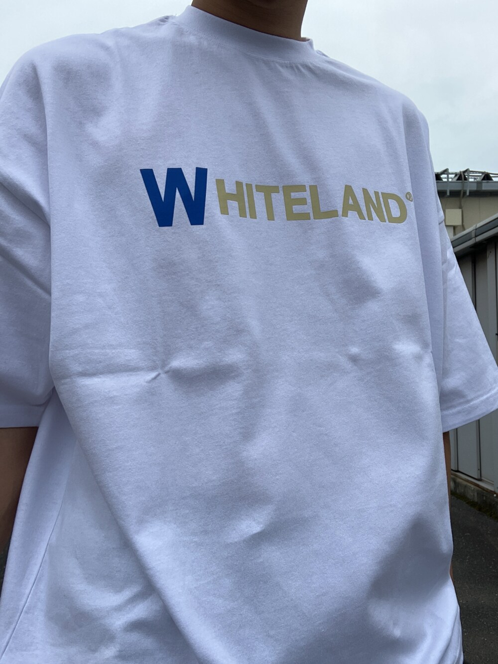 「whiteland、ホワイトランド、白Tシャツ、ホワイト、夏コーデ、オーバーサイズ、outlet、バックロゴ」｜「WHITELANDの【WEB&DEPOT限定】WHITELAND/ホワイトランド/OWL/COLOR LOGO SST/カラー ロゴTシャツ（Tシャツ/カットソー、ホワイト系）」を使った、ツネマツさん（メンズ・187cm）の夏コーディネートの3枚目の写真