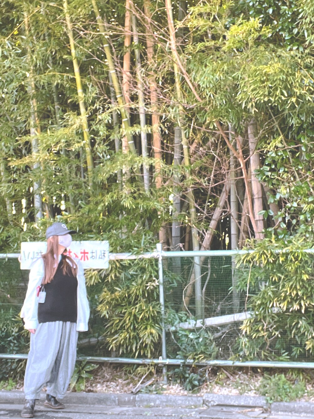 「還暦コーデ、還暦すぎてもおしゃれしたい、kazumi、kazumi respect、kazumiちゃん大好き、kazumiちゃんになりたい、kazumiさん、春ニット」｜「Sunny cloudsのサニークラウズ　feat. Shuttle Notes kazumiのサルエルギンガムパンツ レディース（その他パンツ、その他）」を使った、miyuさん（レディース・158cm）の春コーディネートの2枚目の写真