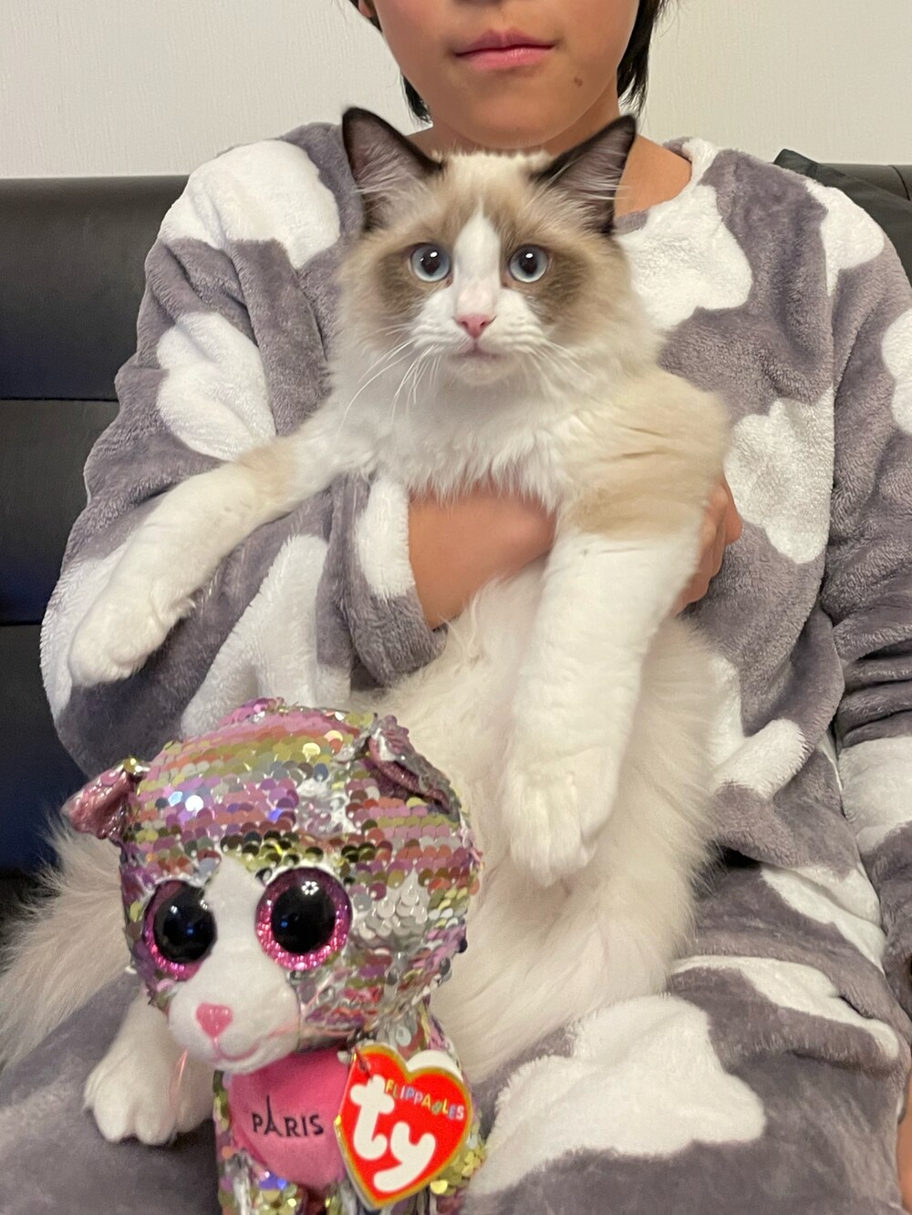 グレー系のルームウェア/パジャマ、シルバー系のフィギュア、ブラウン系のその他を着用したキッズの冬コーディネートの2枚目の写真