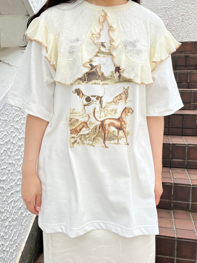 ホワイト系のスカート、ホワイト系のTシャツ/カットソー、ホワイト系の付け襟を着用したレディースの夏コーディネートの3枚目の写真