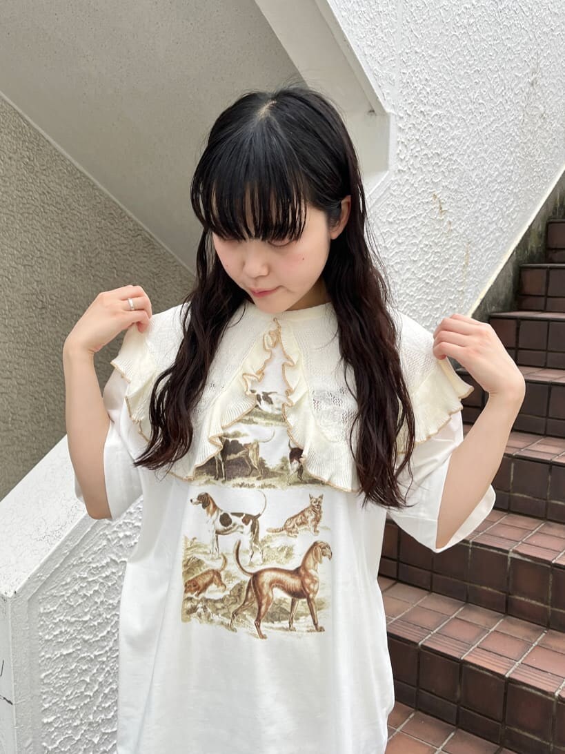 ホワイト系のスカート、ホワイト系のTシャツ/カットソー、ホワイト系の付け襟を着用したレディースの夏コーディネートの2枚目の写真