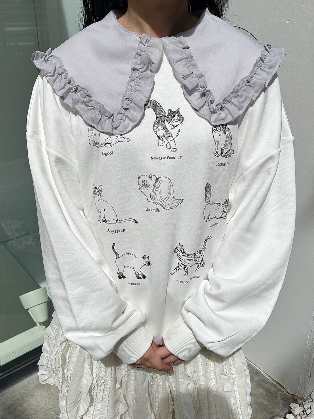 ブルー系のシャツ/ブラウス、ホワイト系のスウェット、ホワイト系のスカートを着用したレディースの秋コーディネートの5枚目の写真