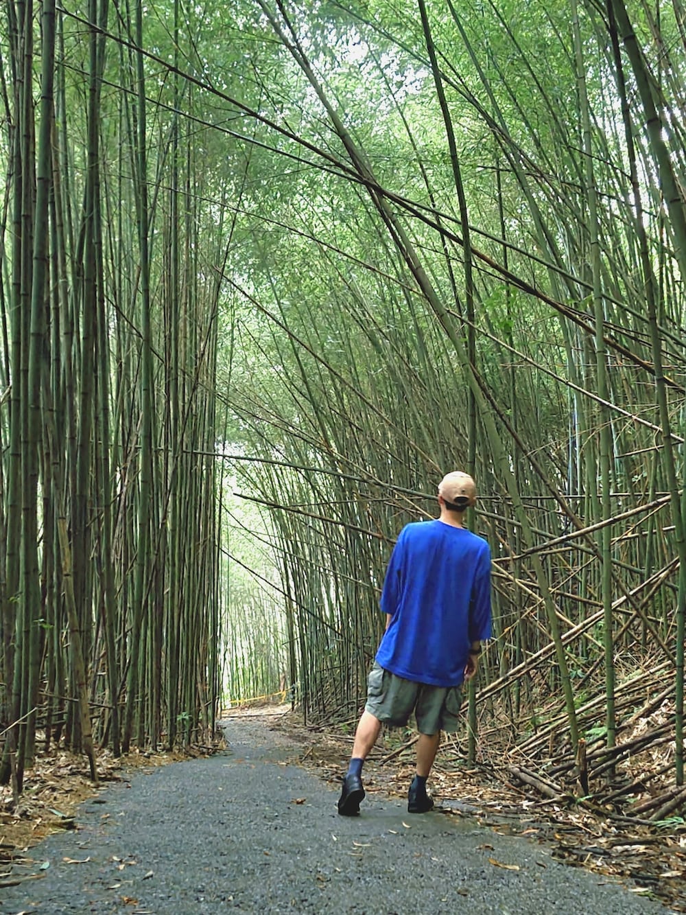 ブラック系のスニーカー、グリーン系のカーゴパンツ、ブルー系のTシャツ/カットソーを着用したメンズの夏コーディネートの3枚目の写真
