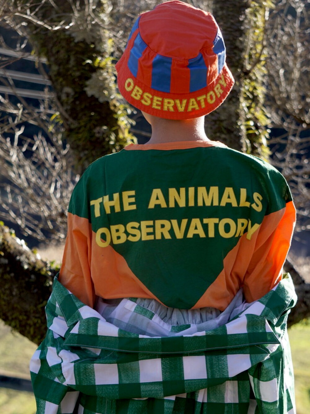 グリーン系のTシャツ/カットソー、グリーン系のジャケット/アウター、グリーン系のパンツを着用したキッズの冬コーディネートの3枚目の写真