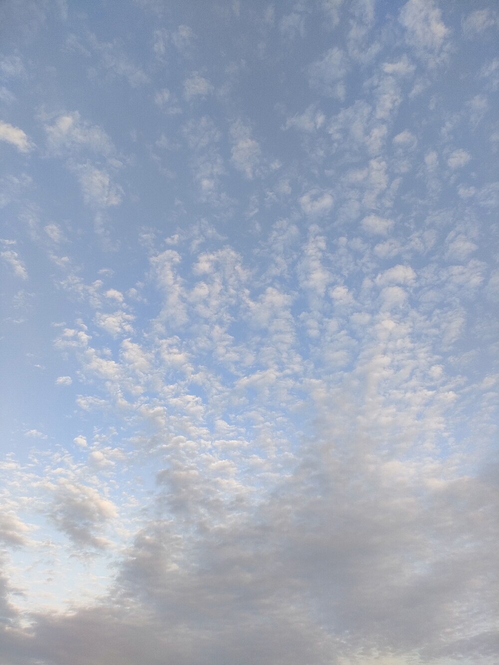 グリーン系のスウェット、グリーン系のその他パンツ、ブラック系のスニーカーを着用したレディースの秋コーディネートの3枚目の写真