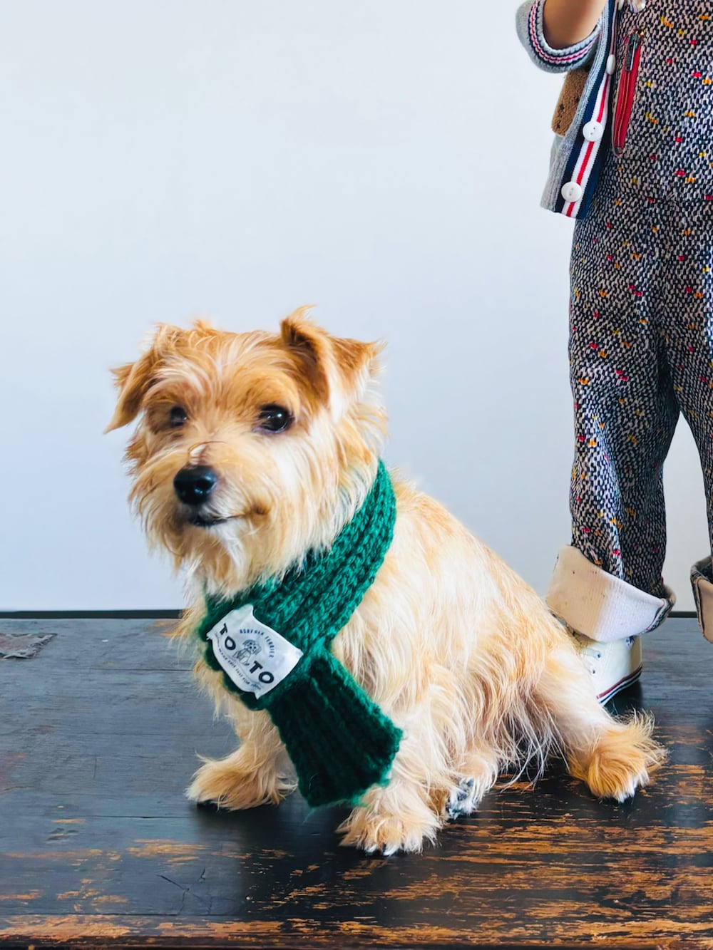 グレー系のカーディガン/ボレロ、その他のサロペット/オーバーオール、ホワイト系のスニーカーを着用したキッズの秋コーディネートの3枚目の写真