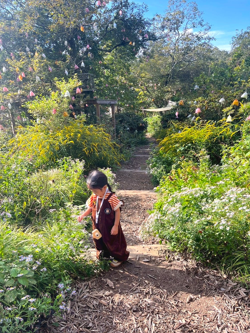 イエロー系のスニーカー、オレンジ系のTシャツ/カットソー、ブラウン系のサロペット/オーバーオールを着用したキッズの秋コーディネートの2枚目の写真