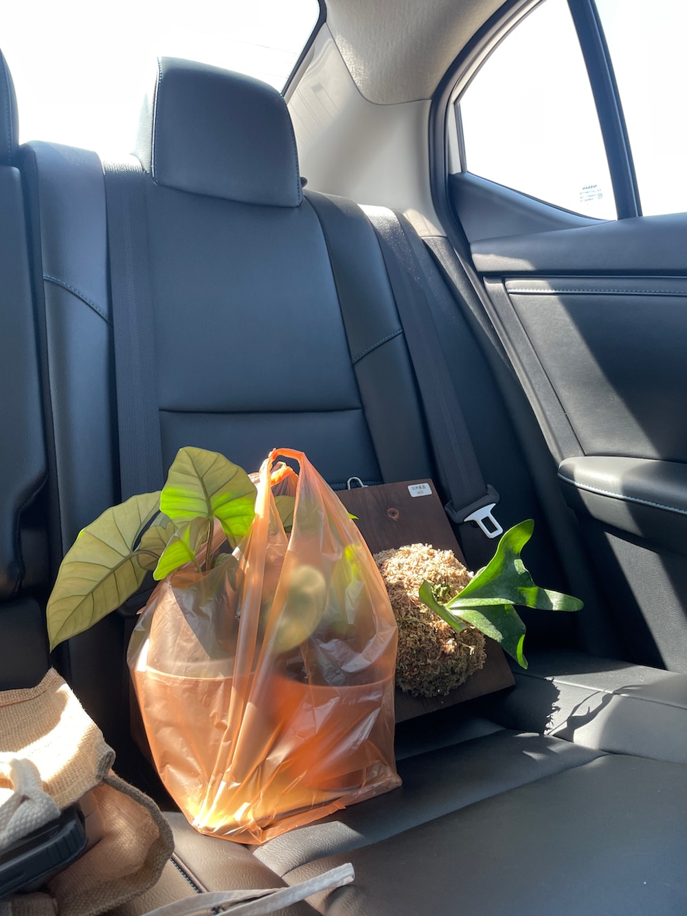 ホワイト系のカーゴパンツ、ブラック系のTシャツ/カットソー、ブラック系のキャミソールを着用したレディースの冬コーディネートの4枚目の写真