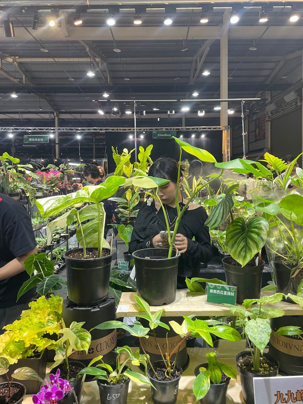 ホワイト系のカーゴパンツ、ブラック系のTシャツ/カットソー、ブラック系のキャミソールを着用したレディースの冬コーディネートの3枚目の写真