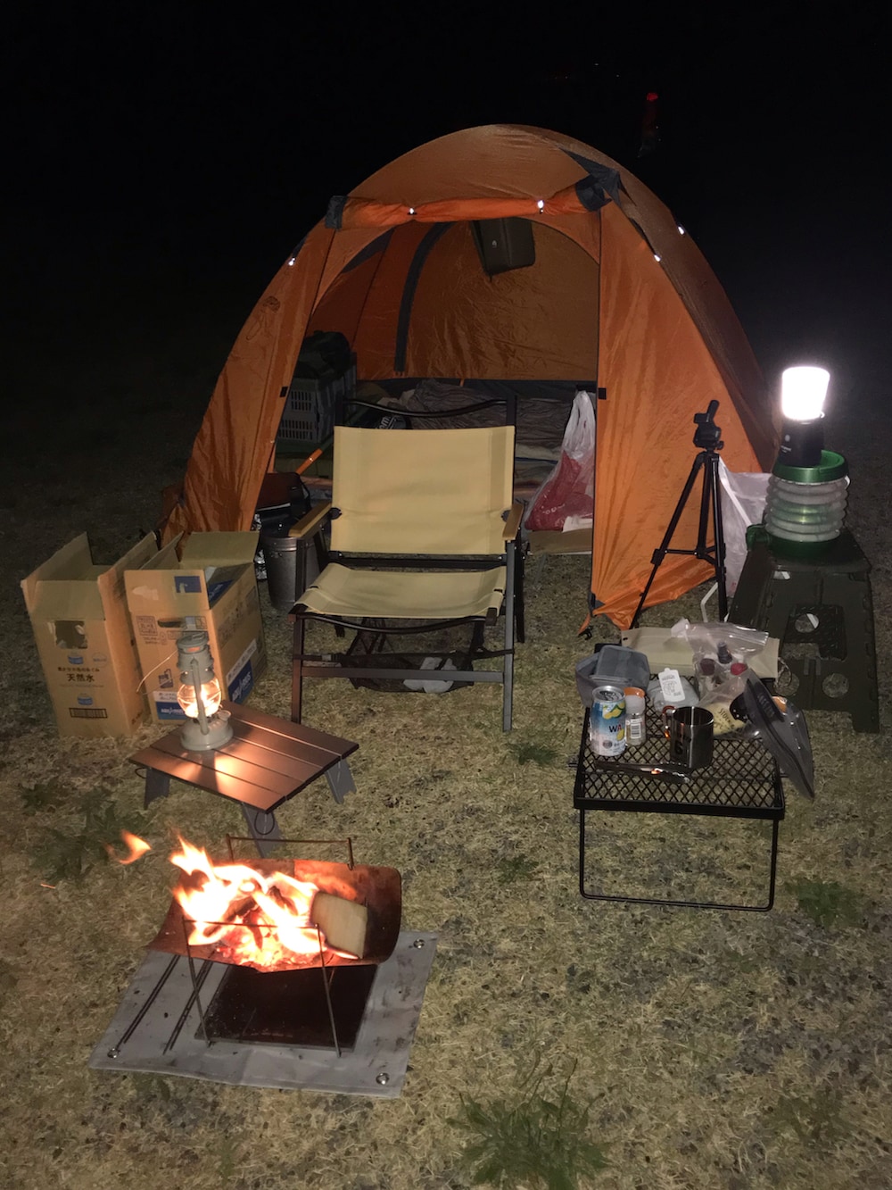 ブラック系のスニーカー、ブラック系のTシャツ/カットソー、グリーン系のパンツを着用したメンズの春コーディネートの2枚目の写真