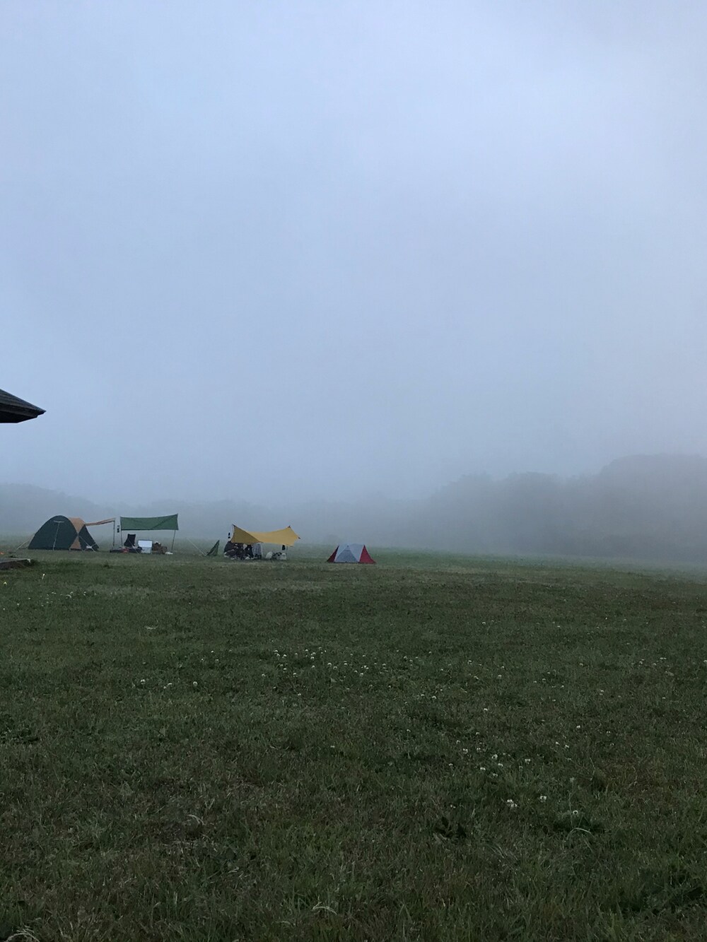 グリーン系のカーゴパンツ、ブラック系のスニーカー、ブラック系のパーカーを着用したメンズの春コーディネートの4枚目の写真