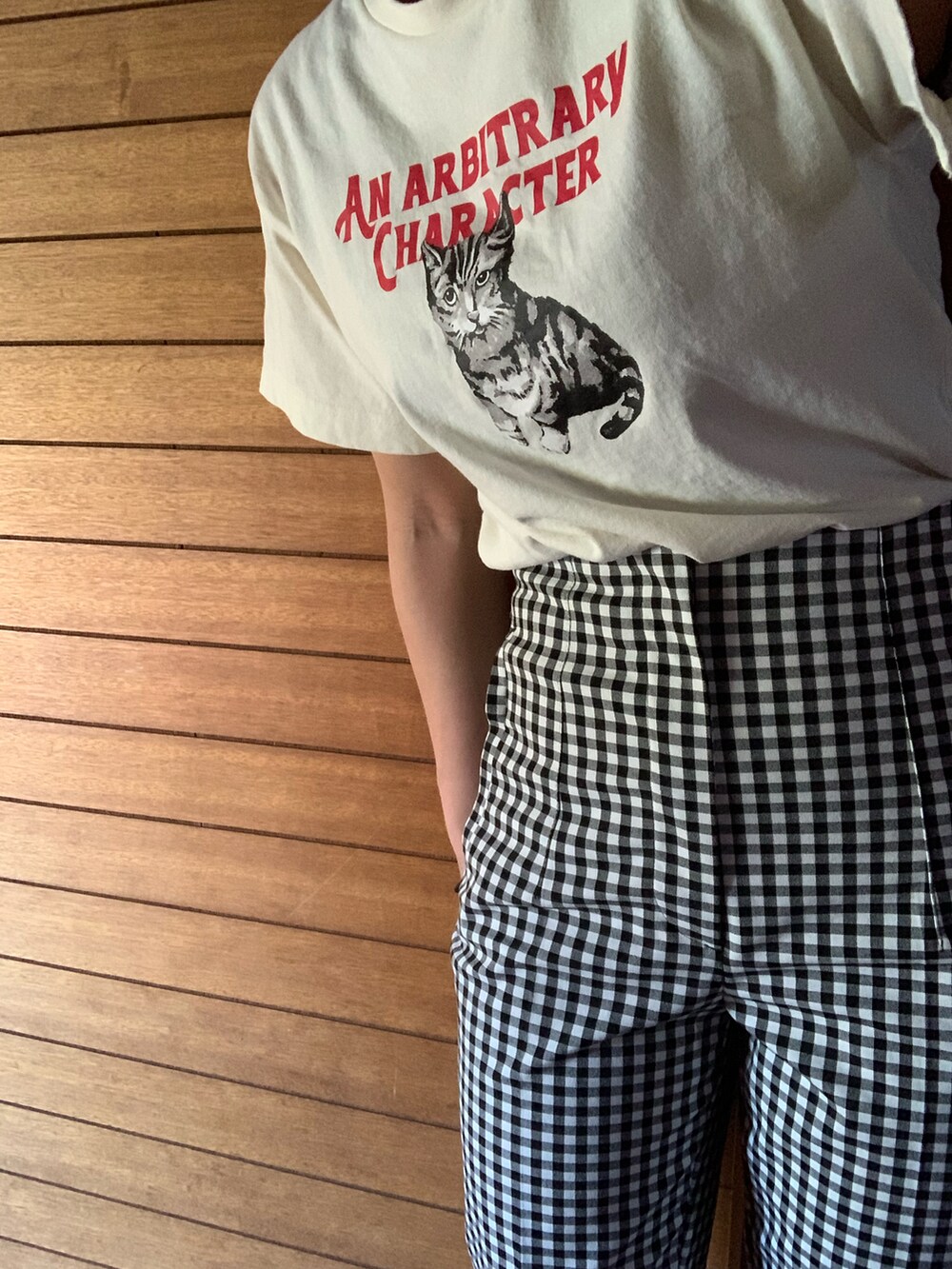 ホワイト系のTシャツ/カットソー、その他のパンツ、ブラウン系の帽子を着用したレディースの夏コーディネートの2枚目の写真