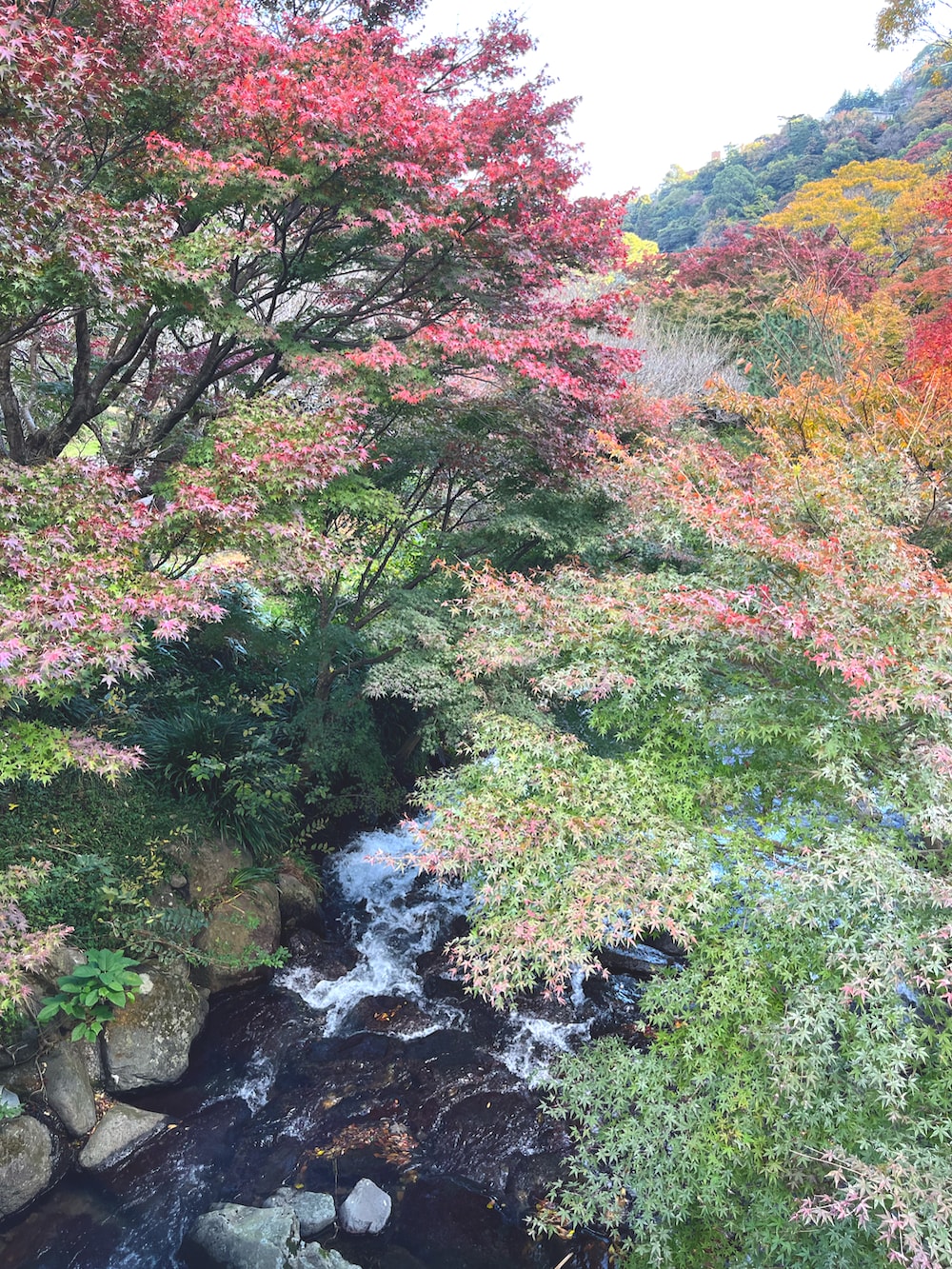 グレー系のパンツ、ブラウン系のブルゾンを着用したメンズの冬コーディネートの3枚目の写真