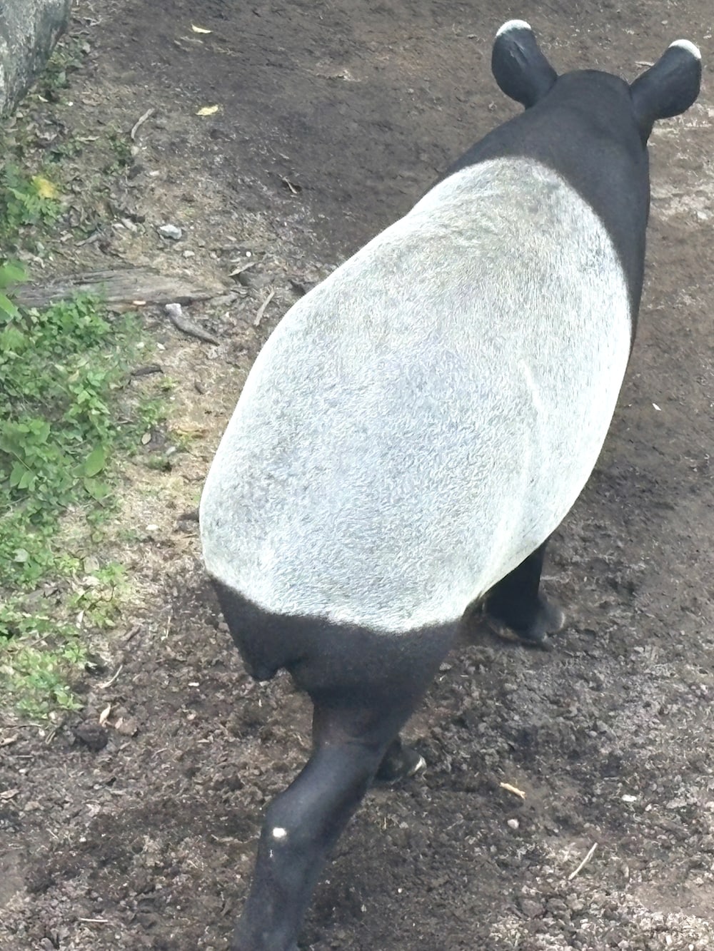 ブルー系のその他を着用したレディースの秋コーディネートの3枚目の写真