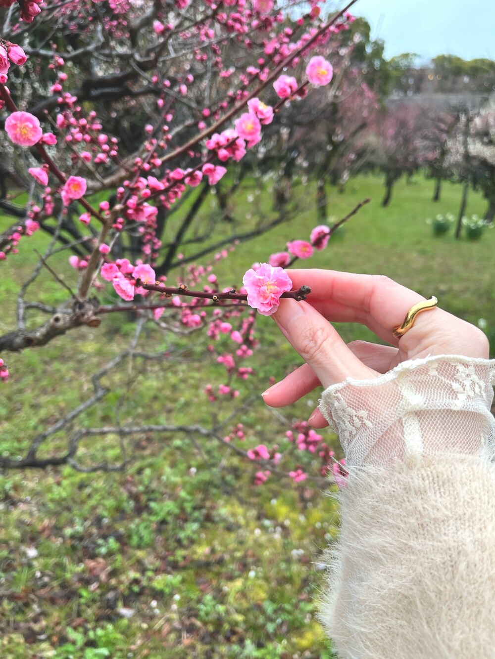 ベージュ系のワンピース、ベージュ系のTシャツ/カットソー、ホワイト系のトートバッグを着用したレディースの春コーディネートの3枚目の写真