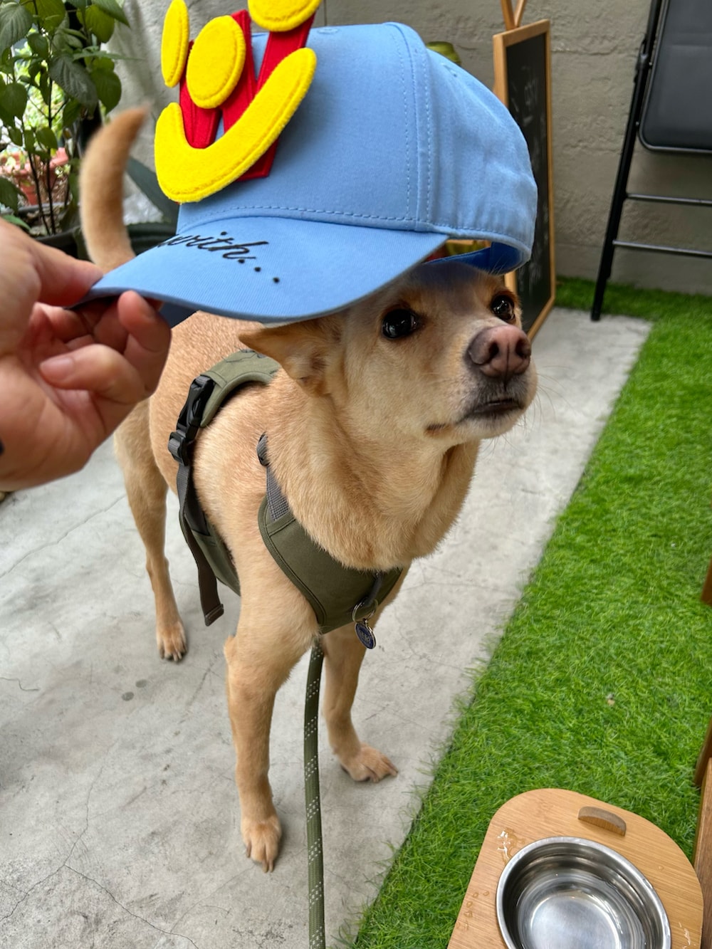 ブラウン系のサロペット/オーバーオール、イエロー系のスニーカー、イエロー系のボディバッグ/ウエストポーチを着用したメンズの春コーディネートの5枚目の写真