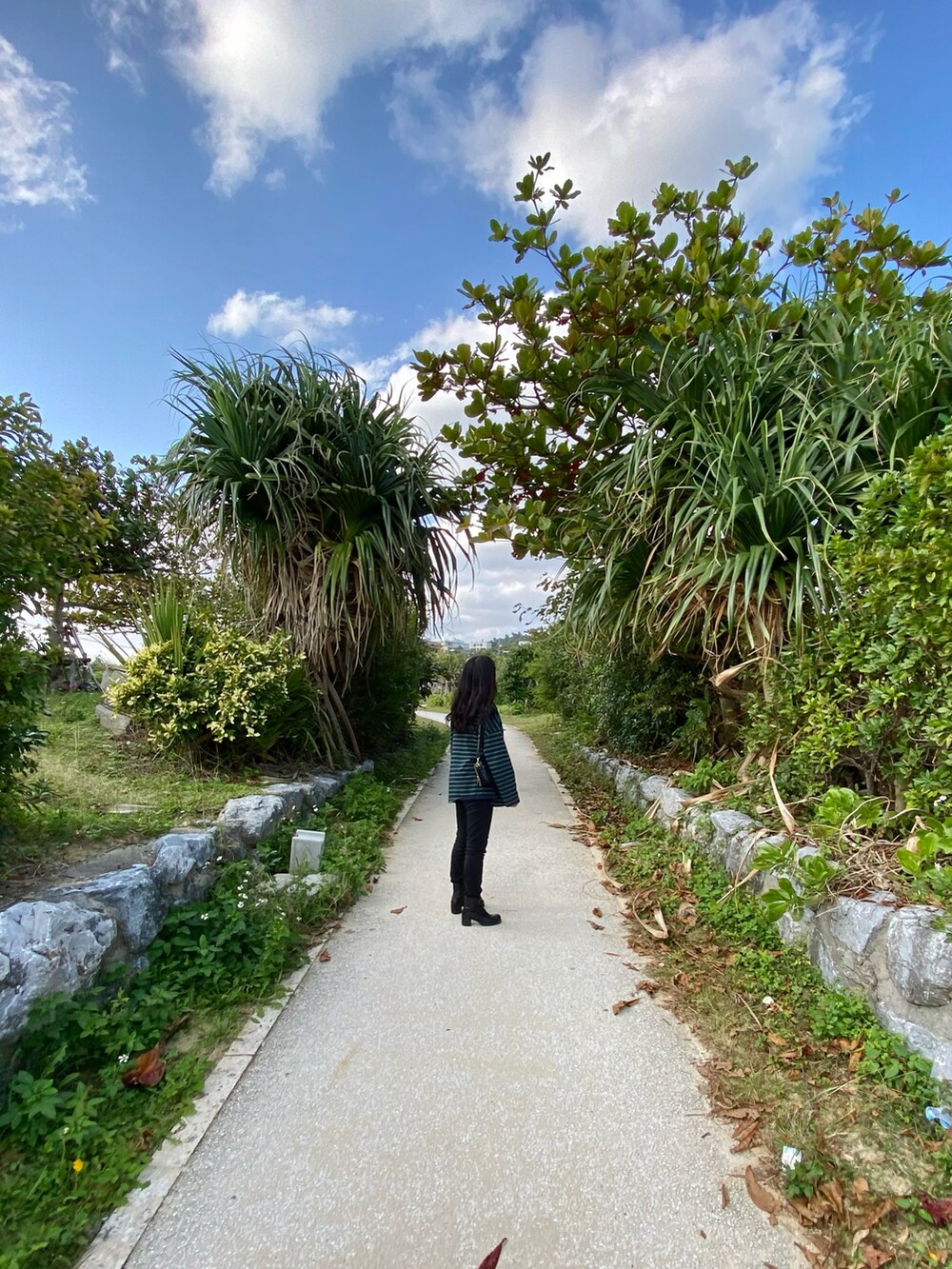 グリーン系のTシャツ/カットソーを着用したレディースの夏コーディネートの2枚目の写真