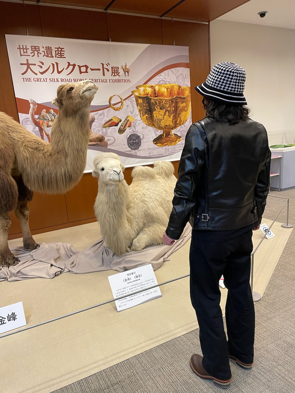 ブラック系のライダースジャケット、ブラック系のチノパンツ、ブラック系のポロシャツを着用したメンズの冬コーディネートの5枚目の写真