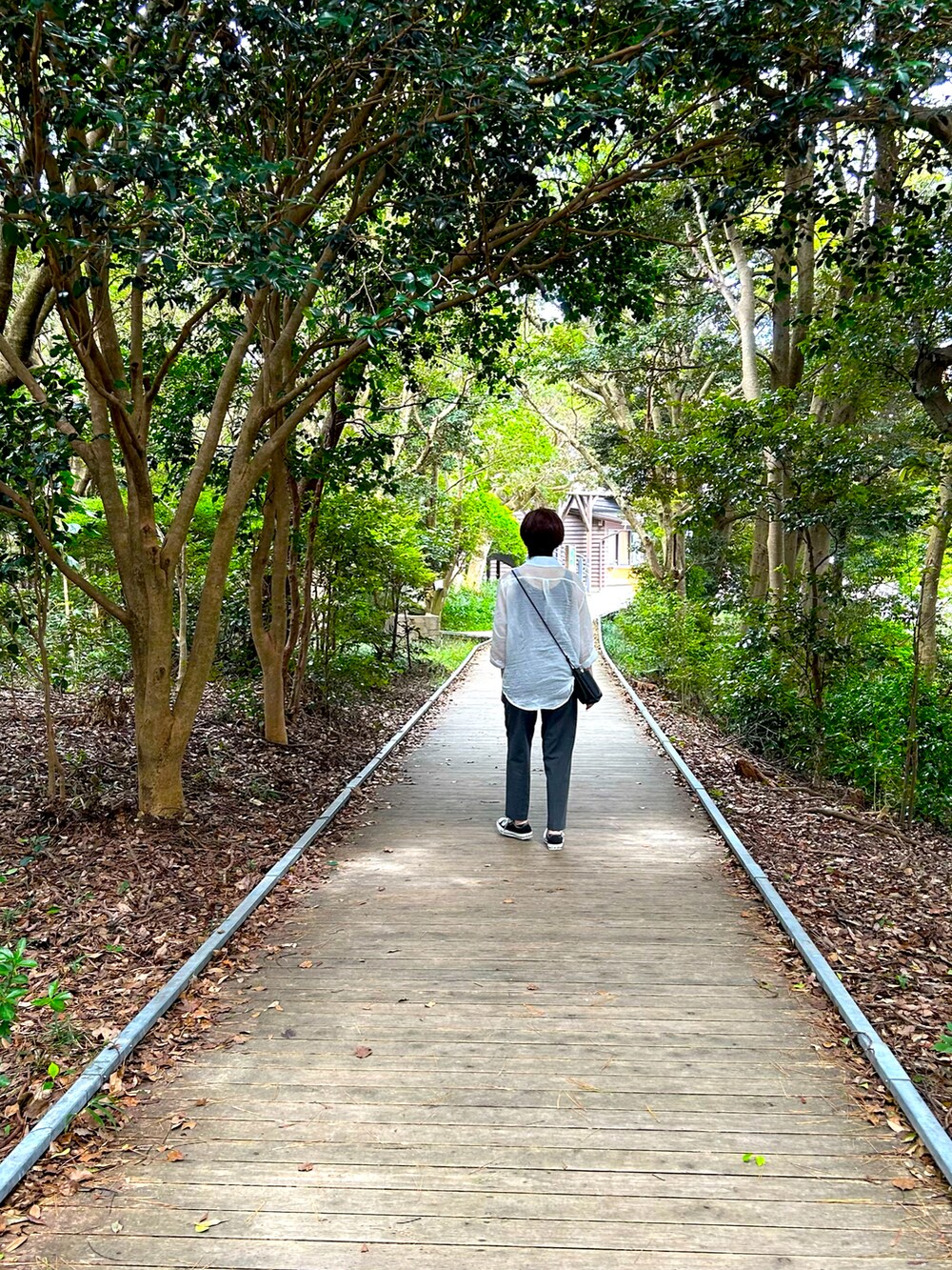 グレー系のスラックス、ブラック系のショルダーバッグ、ブラック系のスニーカーを着用したレディースの秋コーディネートの2枚目の写真