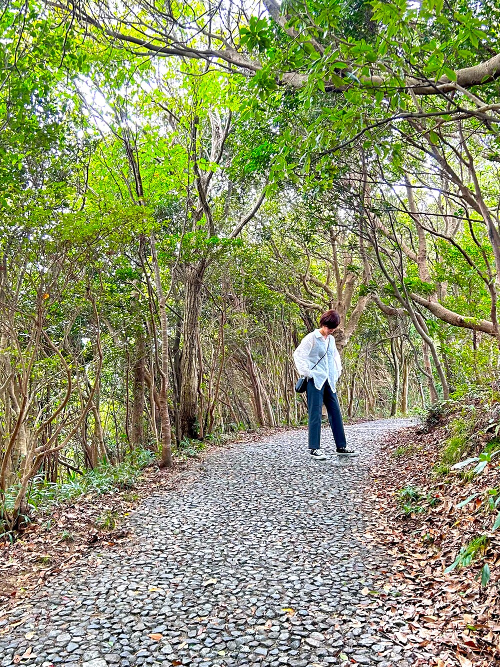 グレー系のスラックス、ブラック系のショルダーバッグ、ブラック系のスニーカーを着用したレディースの秋コーディネートの3枚目の写真