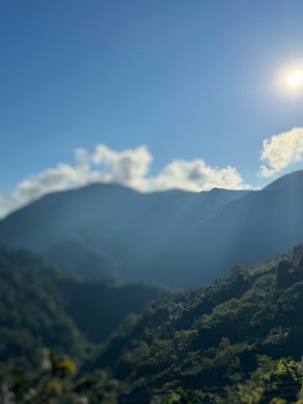 ブルー系のスウェット、グレー系のスウェットパンツ、グレー系のタイツ/ストッキングを着用したメンズの秋コーディネートの3枚目の写真