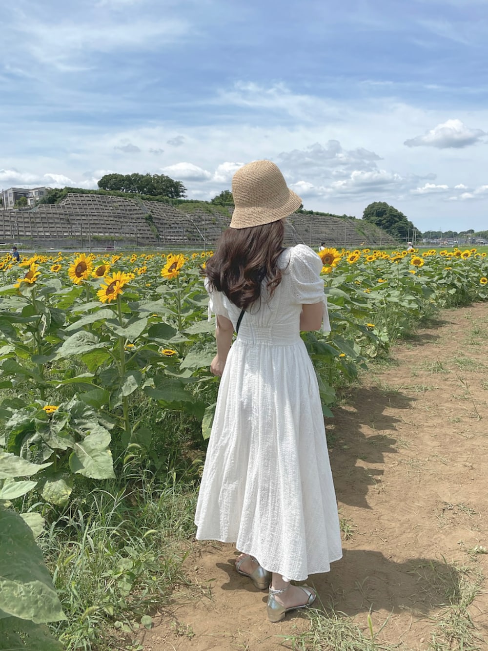「ひまわり畑、白ワンピース、帽子、ワンピース、夏、夏コーデ、麦わらハット、麦わら帽子、レースワンピース、サンダル、骨格ウェーブ、ロングワンピース」｜「BEAUTY&YOUTH UNITED ARROWSのアイテム（サンダル、シルバー系）」を使った、nanaさん（レディース・156cm）の夏コーディネートの2枚目の写真
