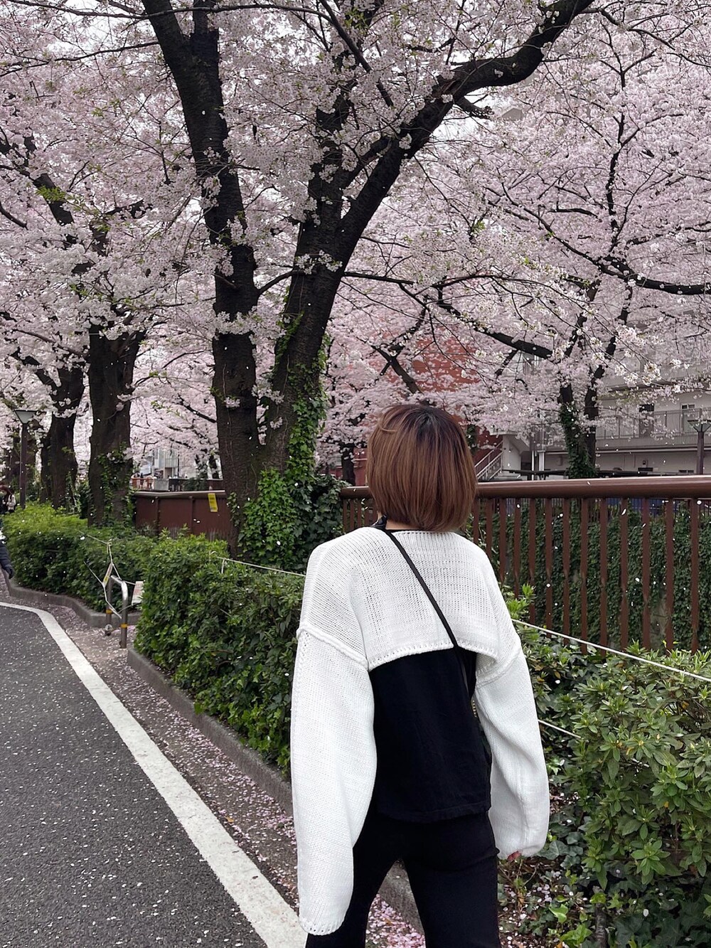 ホワイト系のニット/セーターを着用したレディースの春コーディネートの4枚目の写真