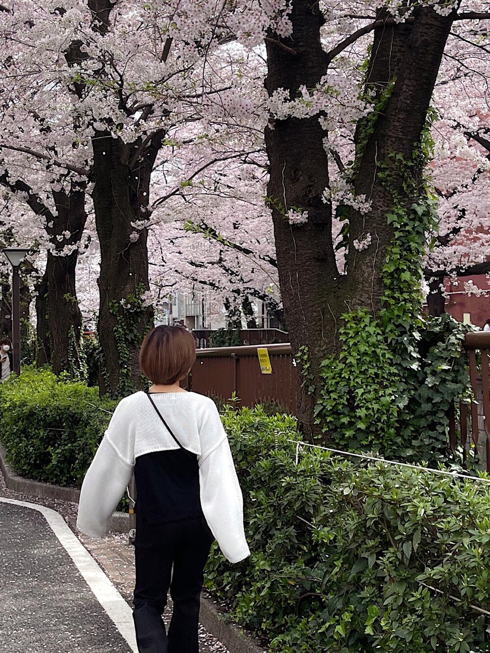 ホワイト系のニット/セーターを着用したレディースの春コーディネートの3枚目の写真