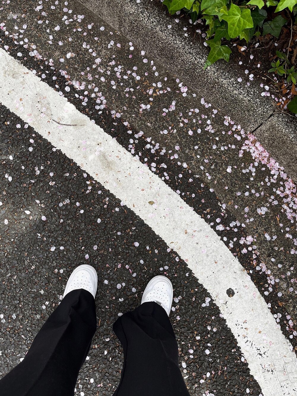 ホワイト系のニット/セーターを着用したレディースの春コーディネートの5枚目の写真