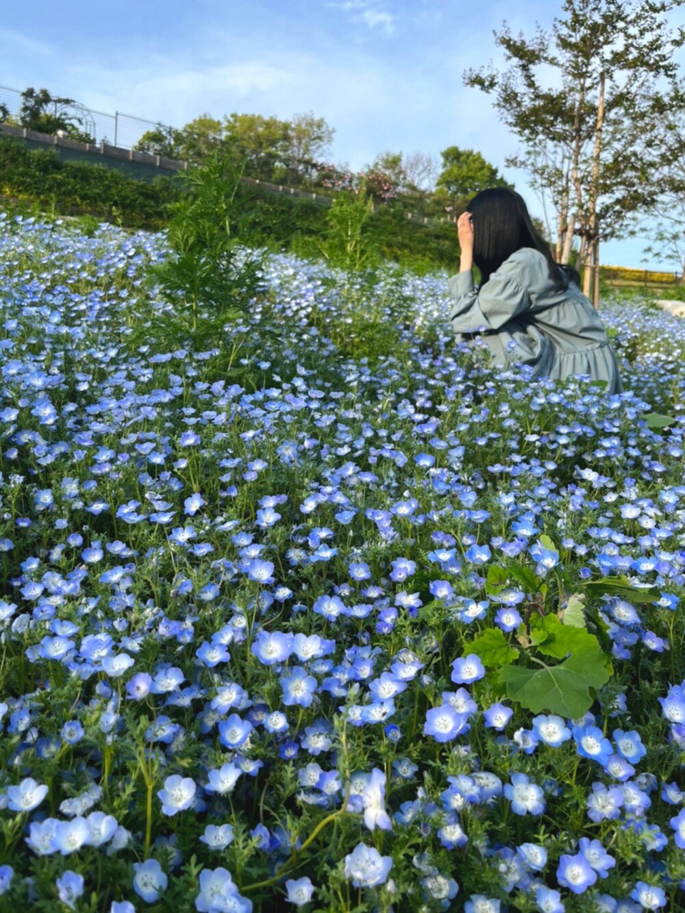 ブルー系のチュニック、ブラウン系のスラックスを着用したレディースの春コーディネートの3枚目の写真