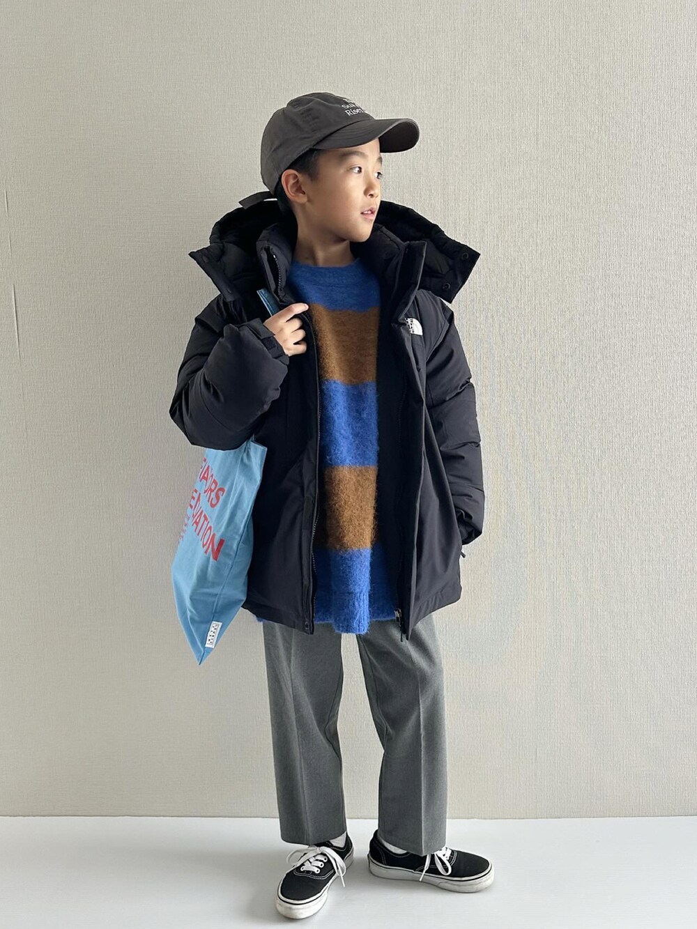 THE NORTH FACE ENDURANCE BALTRO J jacket