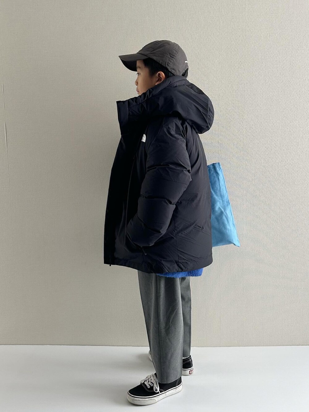 THE NORTH FACE ENDURANCE BALTRO J jacket