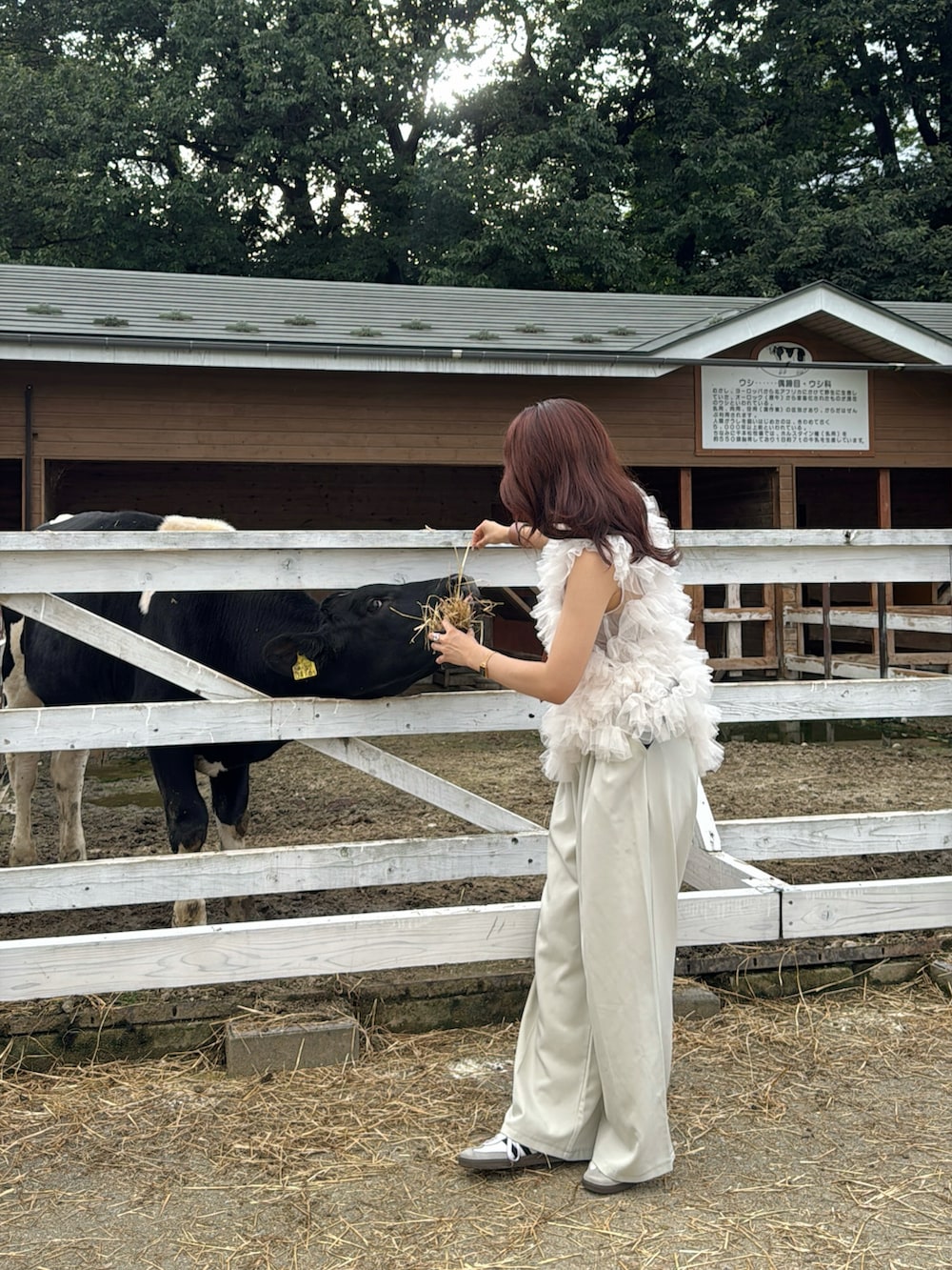 ホワイト系のシャツ/ブラウス、ホワイト系のスニーカーを着用したレディースの秋コーディネートの5枚目の写真