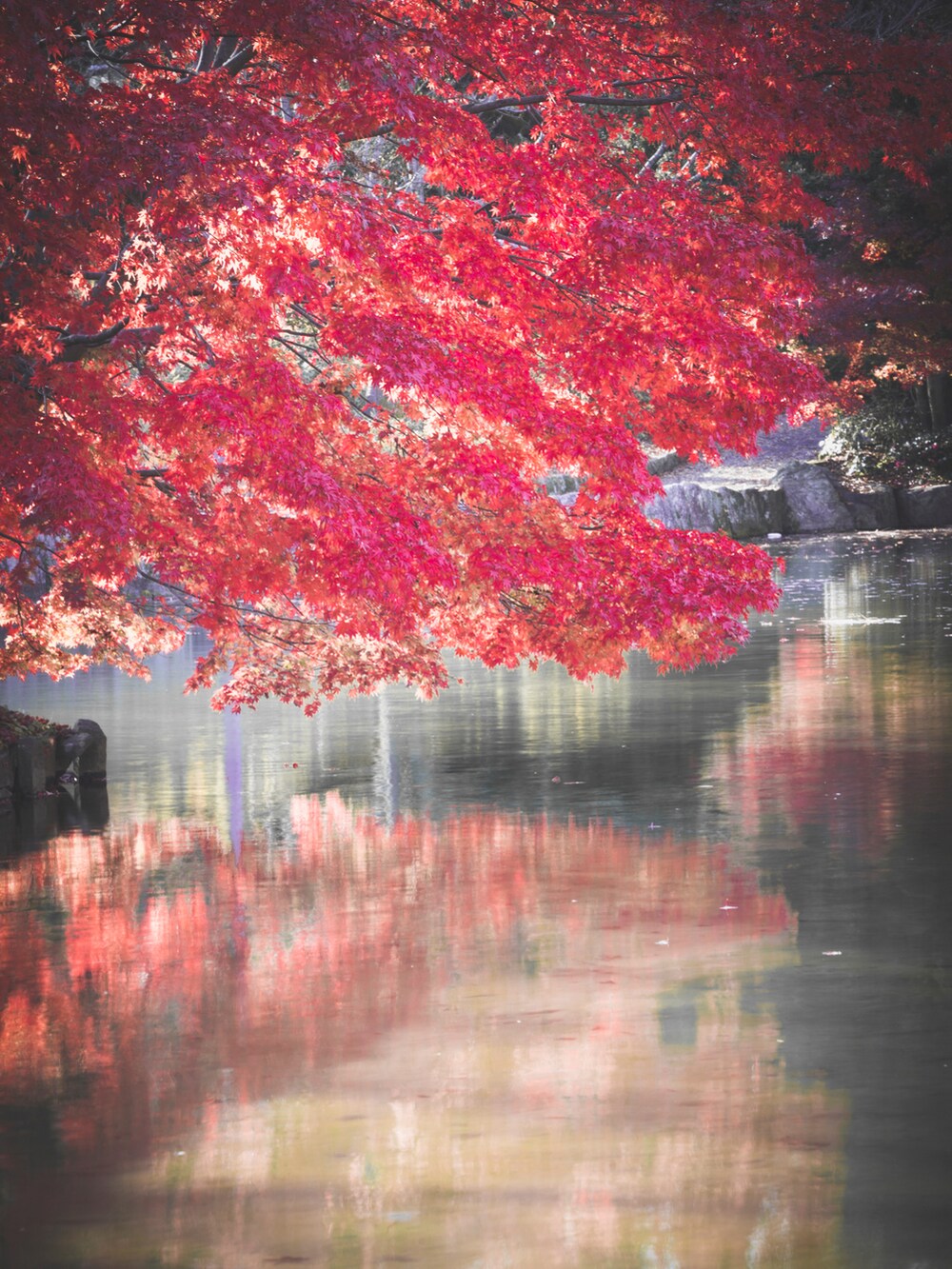 ブルー系のブルゾン、ホワイト系のシャツ/ブラウス、ブラック系のバックパック/リュックを着用したメンズの秋コーディネートの3枚目の写真