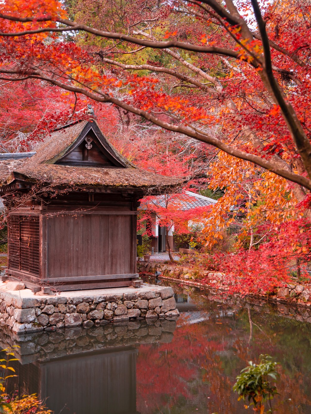 ブラウン系のTシャツ/カットソー、ブラウン系のジャケット/アウター、ブルー系のデニムパンツを着用したメンズの冬コーディネートの4枚目の写真