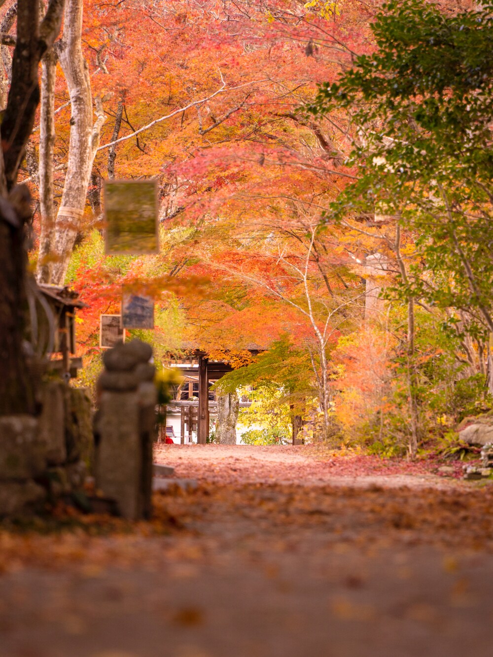 ブラウン系のTシャツ/カットソー、ブラウン系のジャケット/アウター、ブルー系のデニムパンツを着用したメンズの冬コーディネートの3枚目の写真