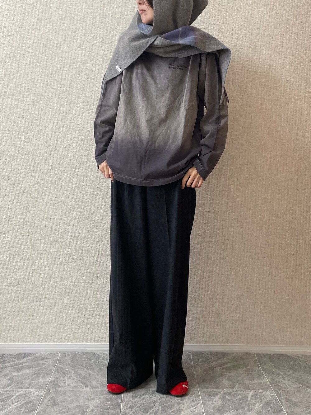 グレー系のTシャツ/カットソー、レッド系のスニーカー、ブルー系のマフラーを着用したレディースの冬コーディネートの2枚目の写真