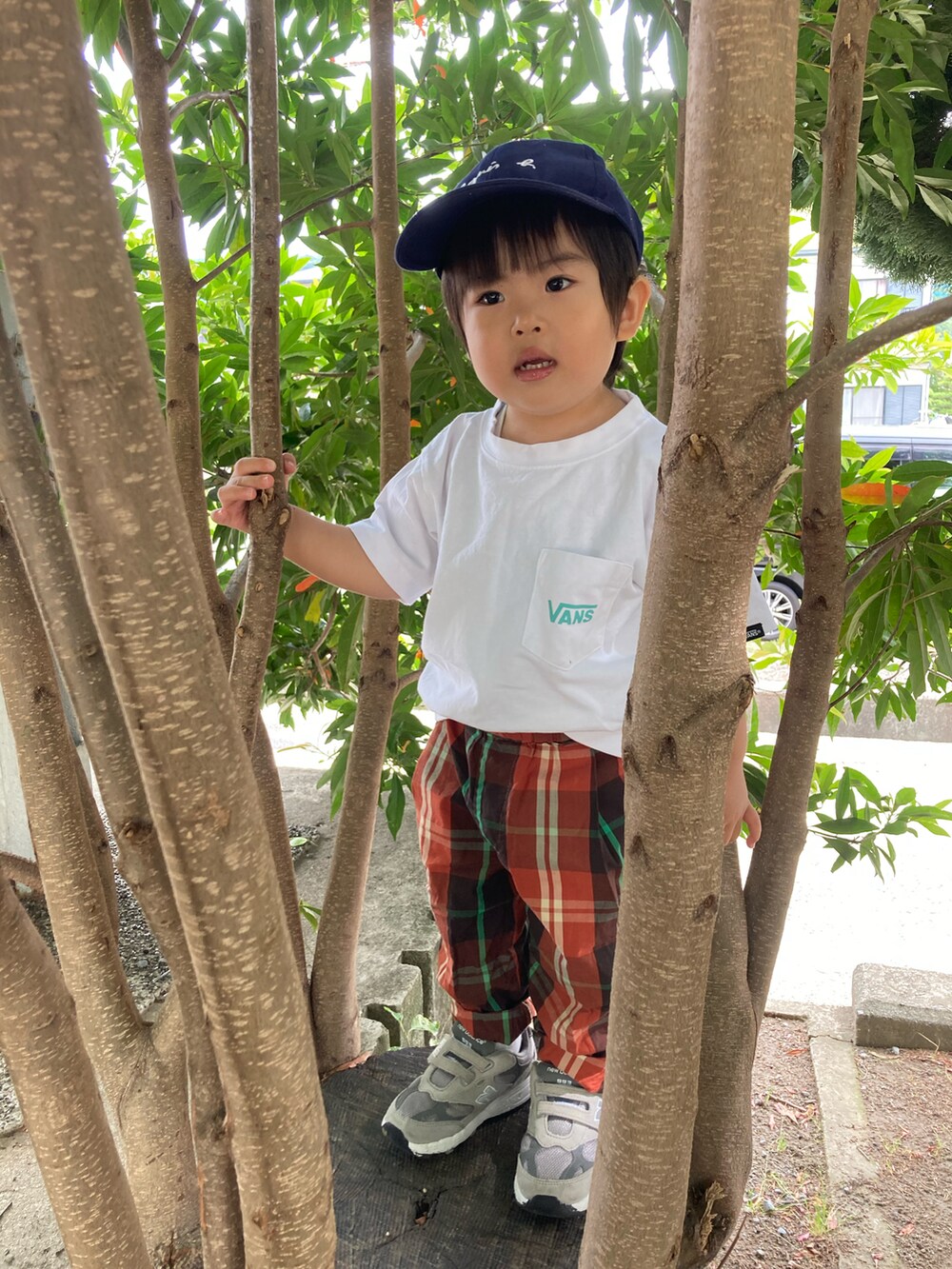 ブラウン系のパンツ、グレー系のスニーカー、ホワイト系のTシャツ/カットソーを着用したキッズの夏コーディネートの2枚目の写真