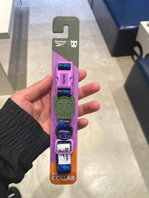 コーディネート