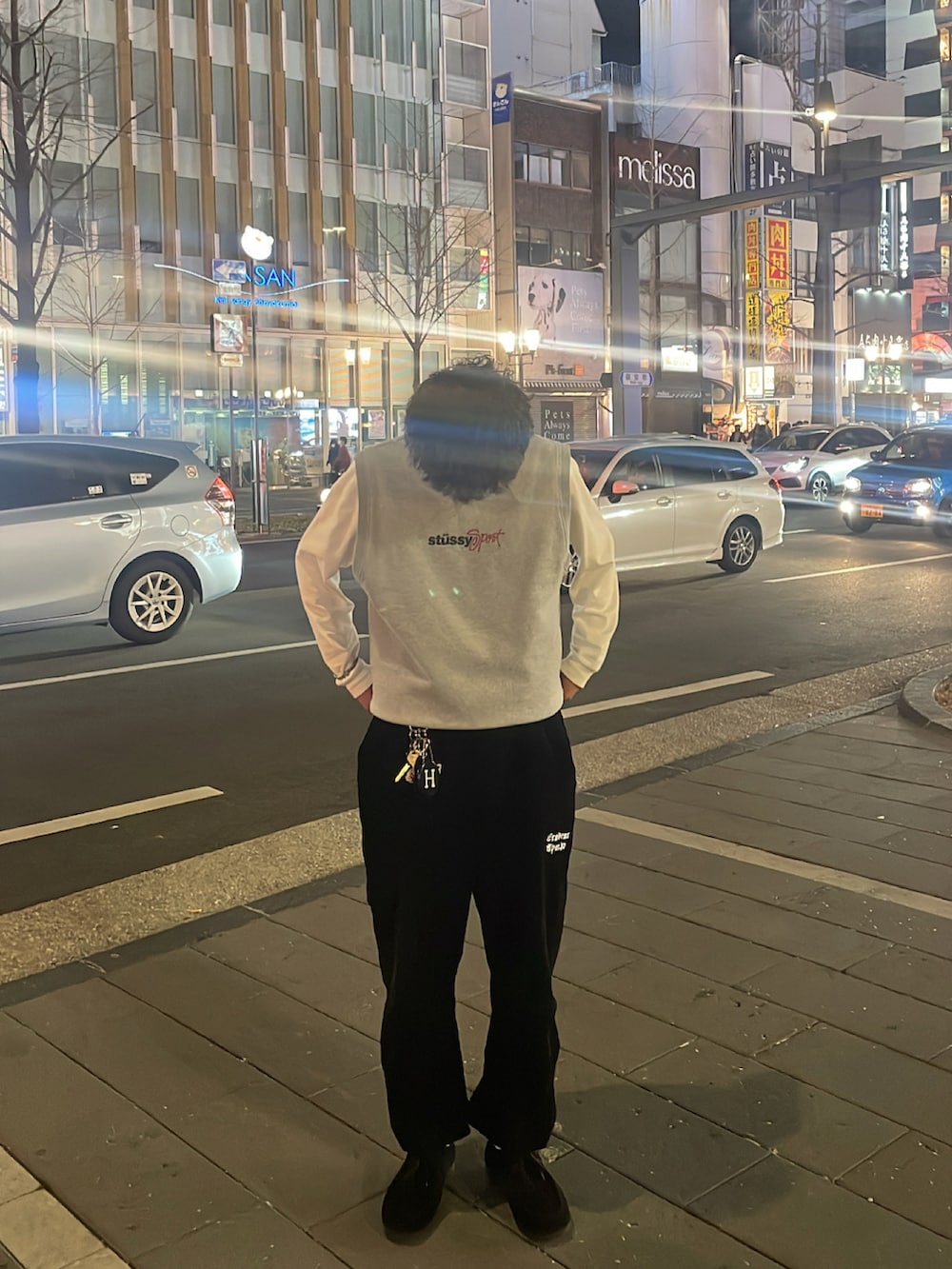 グレー系のベスト、ホワイト系のTシャツ/カットソー、ブラック系のカーゴパンツを着用したメンズの春コーディネートの2枚目の写真