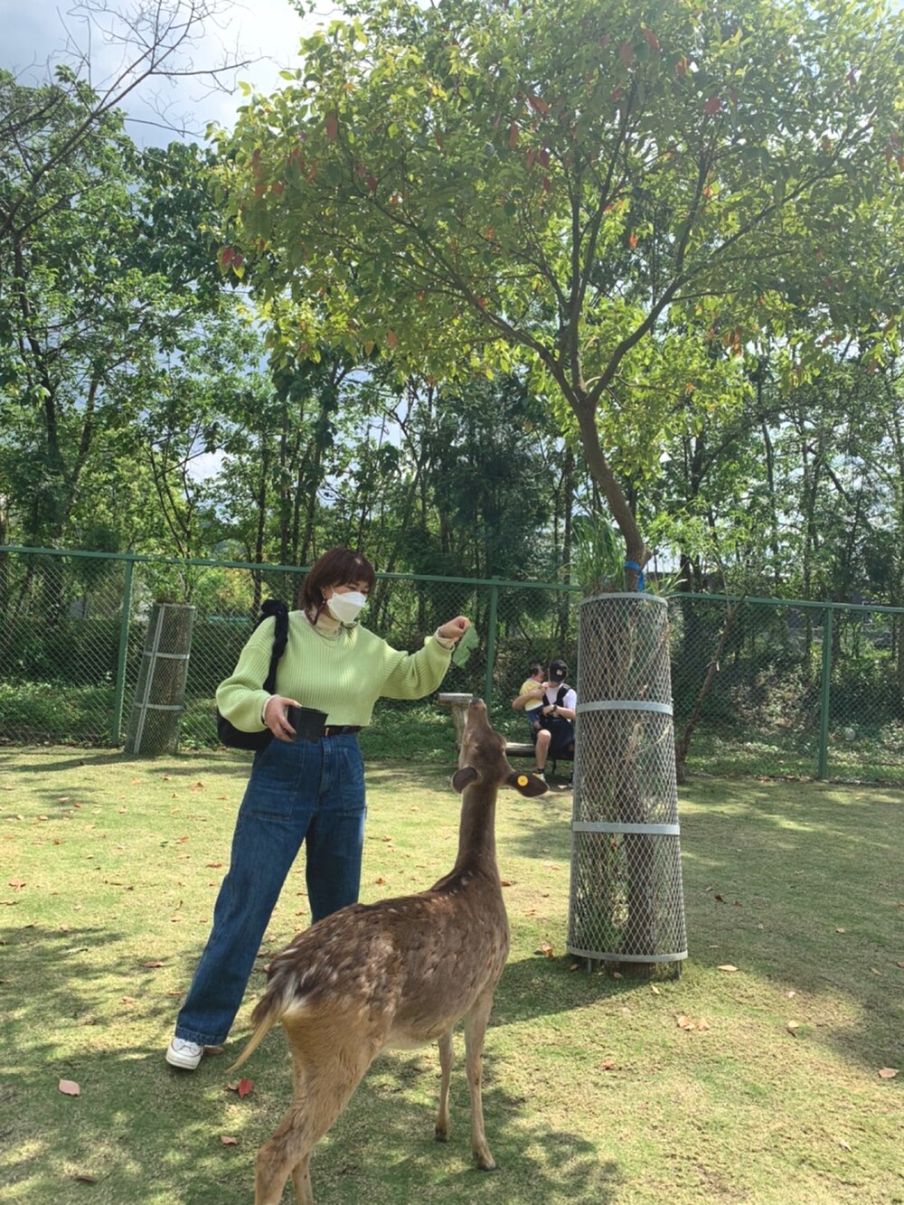 グリーン系のニット/セーター、ベージュ系のスニーカー、シルバー系のネックレスを着用したレディースの春コーディネートの2枚目の写真