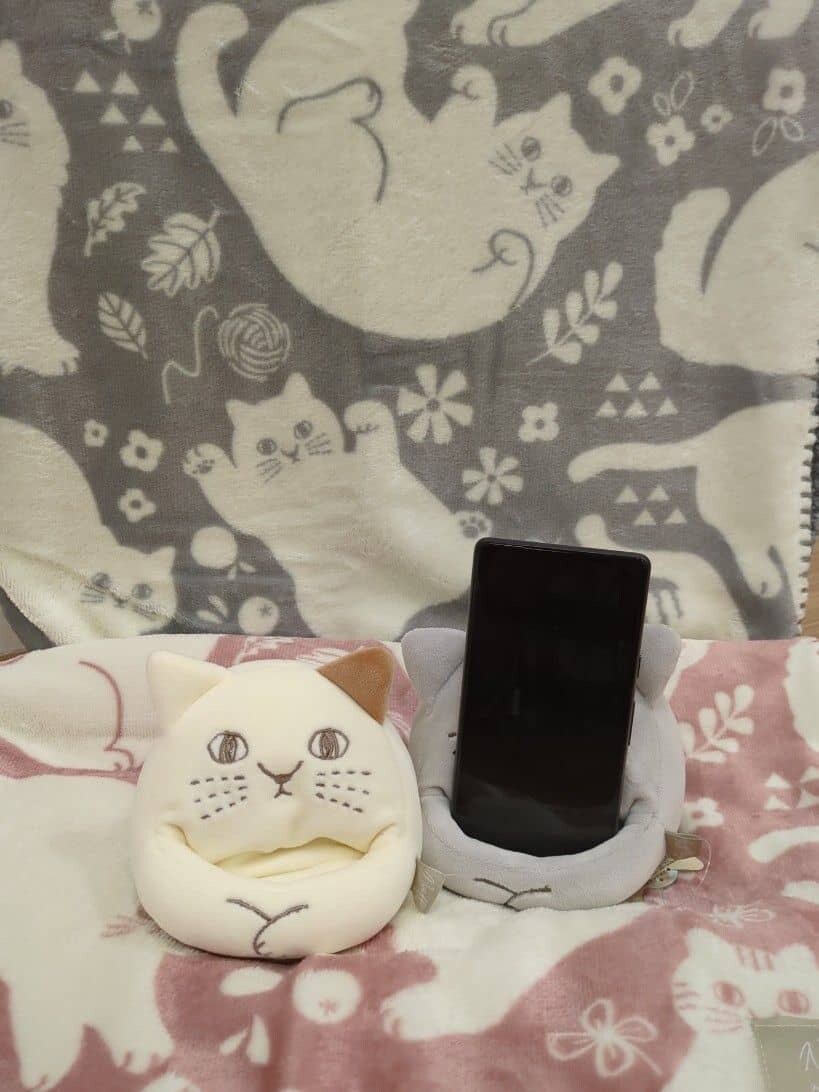 ピンク系のブランケット、グレー系のブランケット、ベージュ系の収納グッズを着用したレディースの秋コーディネートの4枚目の写真