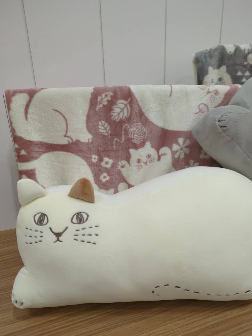 ピンク系のブランケット、グレー系のブランケット、ベージュ系の収納グッズを着用したレディースの秋コーディネートの2枚目の写真