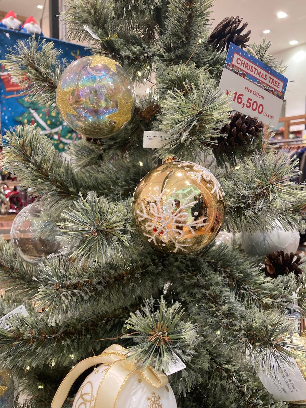 ホワイト系のTシャツ/カットソー、グレー系のニット/セーター、ブラウン系のその他パンツを着用したレディースの秋コーディネートの6枚目の写真